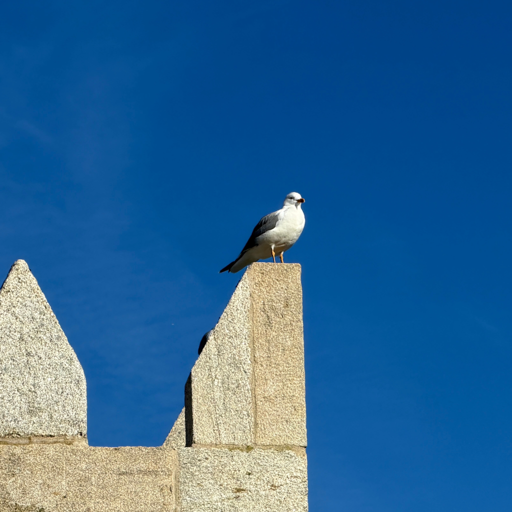 Success Driving School